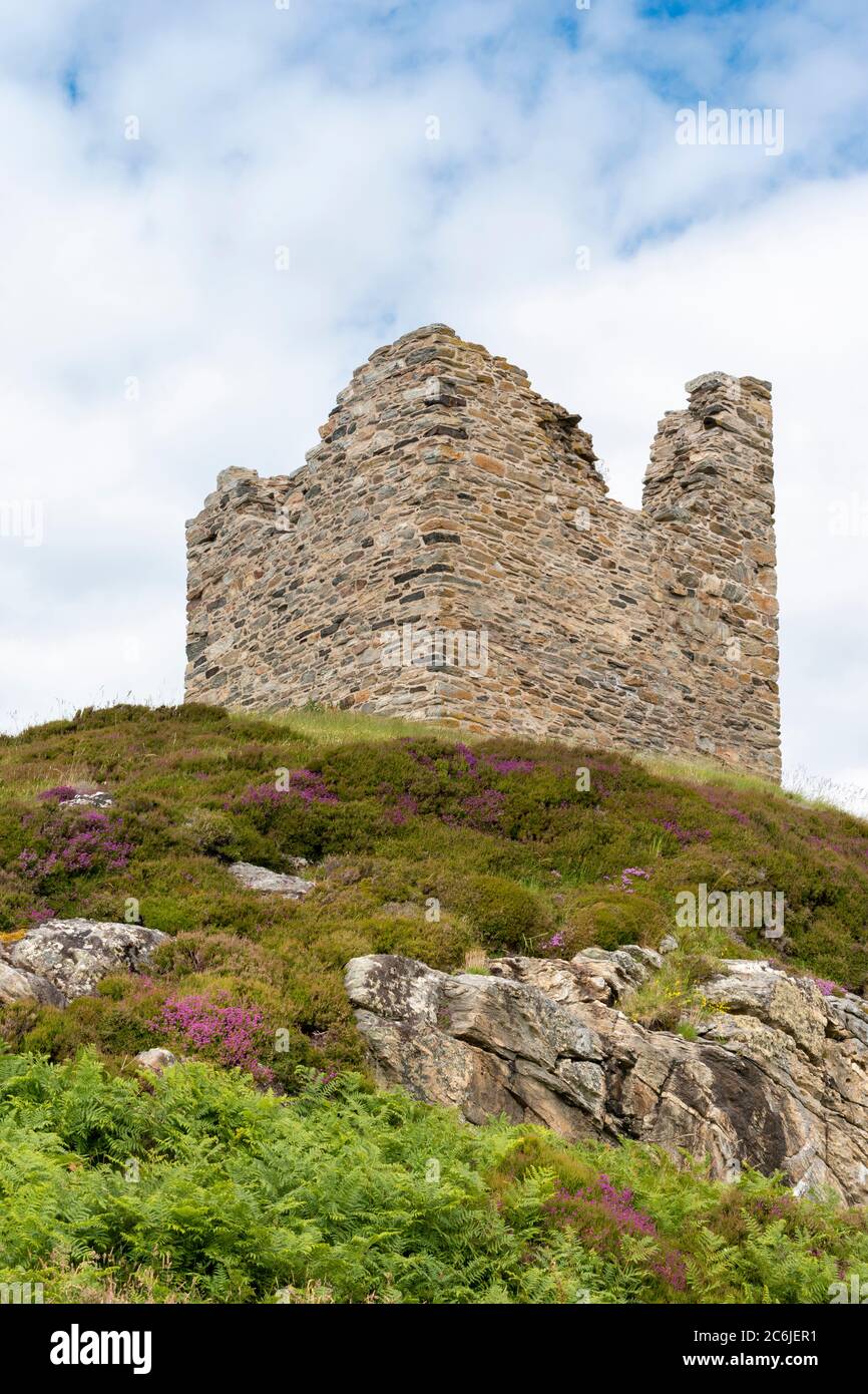 CASTLE VARRICH TONGUE SUTHERLAND SCOTLAND THE CASTLE IN SUMMER WITH HEATHER GROWING AMONG THE ROCKS Stock Photo