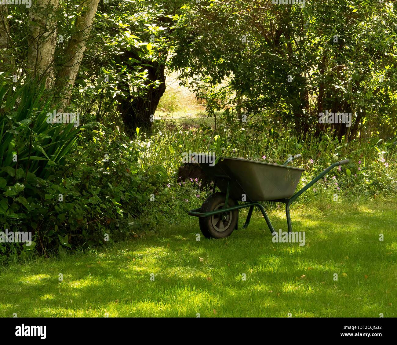 Wheelbarrow full of  weeds  in garden. No people. Concept of garden recreation and helping environment Stock Photo