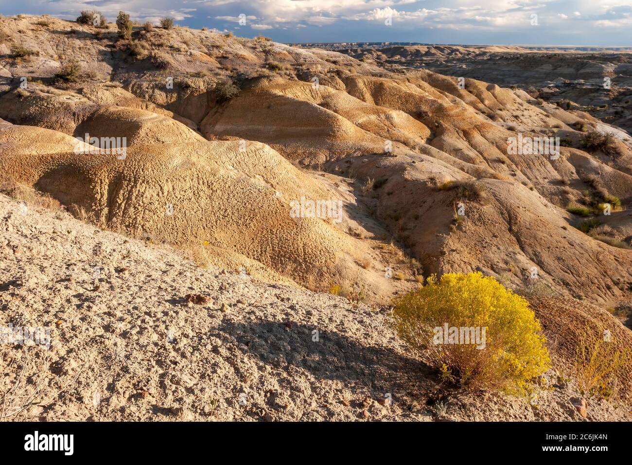 Blm hires stock photography and images Alamy
