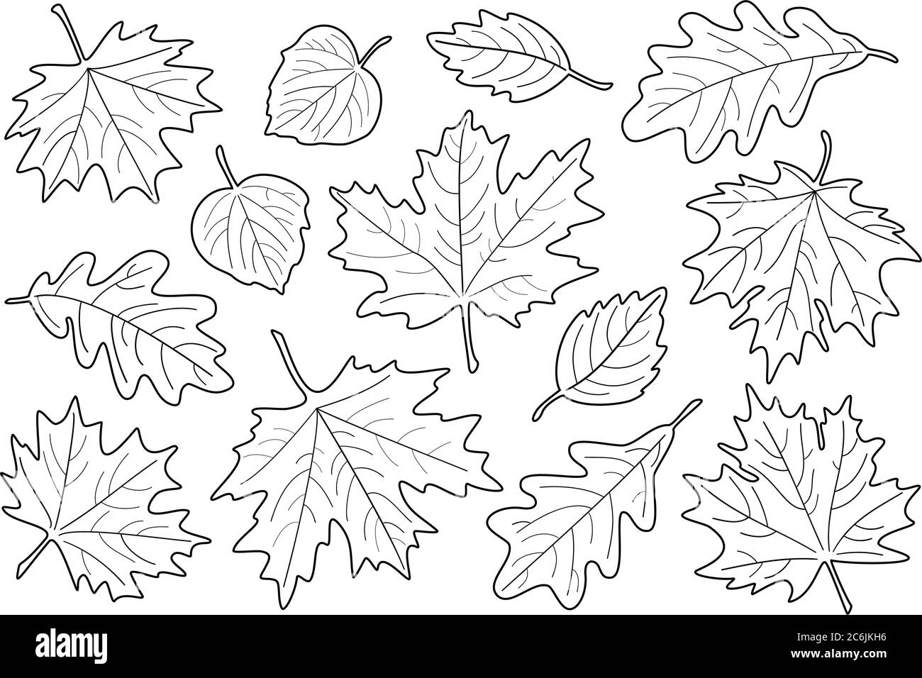 Vector illustration, set of black and white leaves. Fall leaves silhouettes. Maple, Linden, oak and birch leaves. Stock Vector