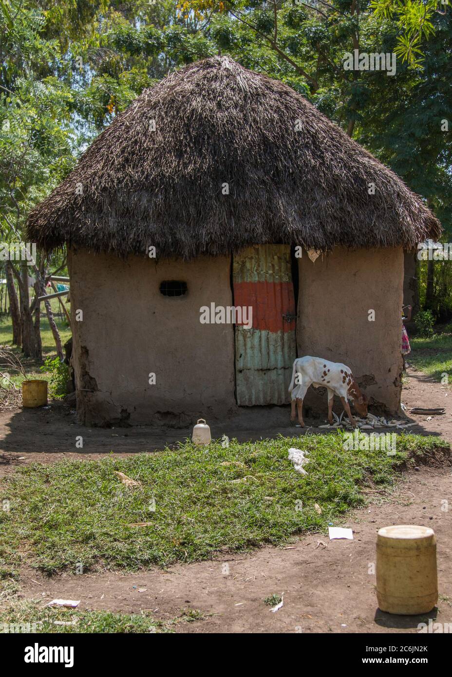A traditional mud hut with a thatched roof in a rural village near Ahero, Kenya Stock Photo