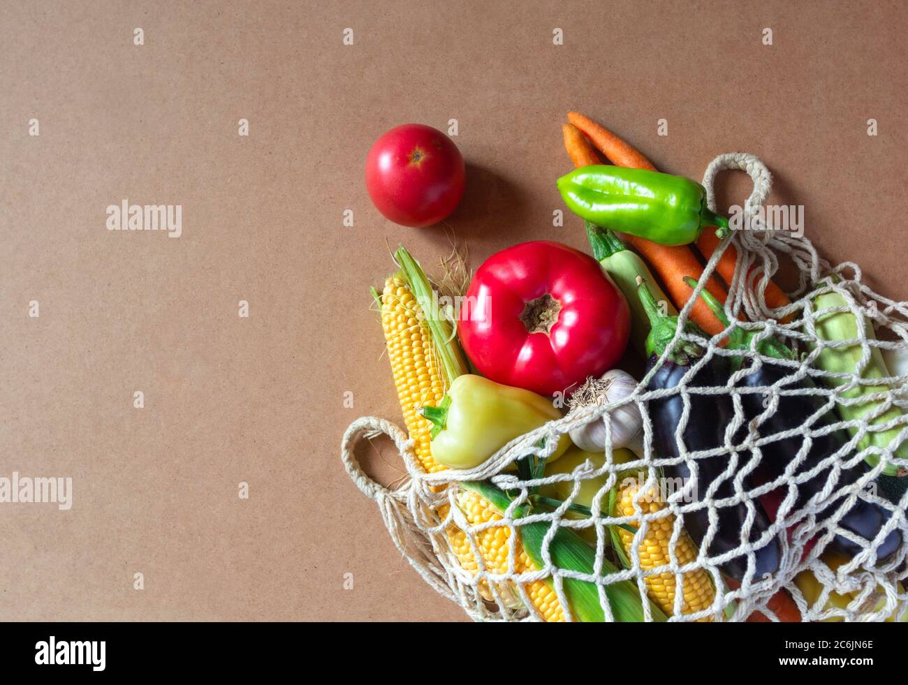 eco friendly vegetable bolsas