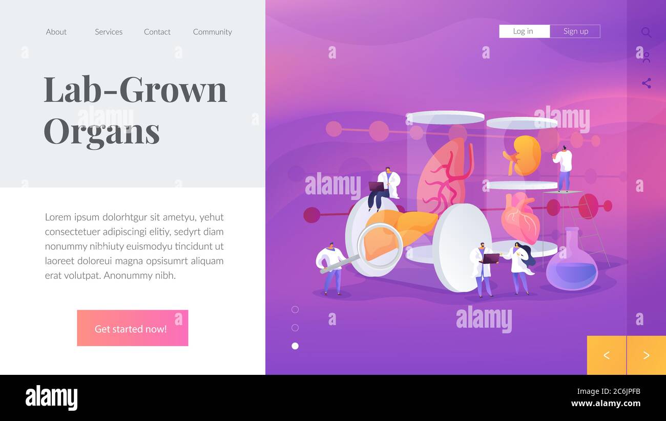 LabGrown Organs landing page concept Stock Vector Image & Art Alamy