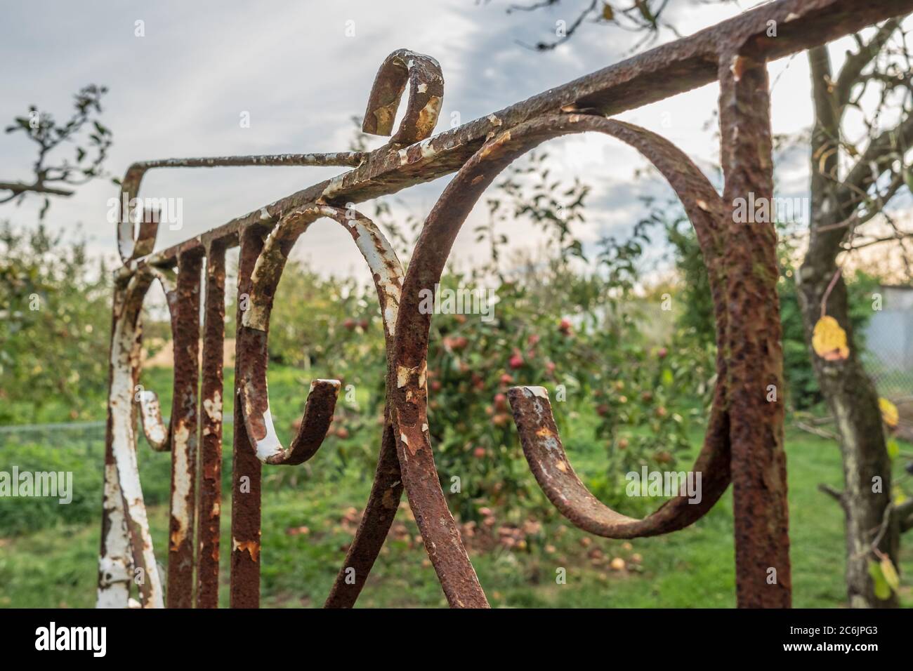 Wrought iron garden bird hires stock photography and images Alamy