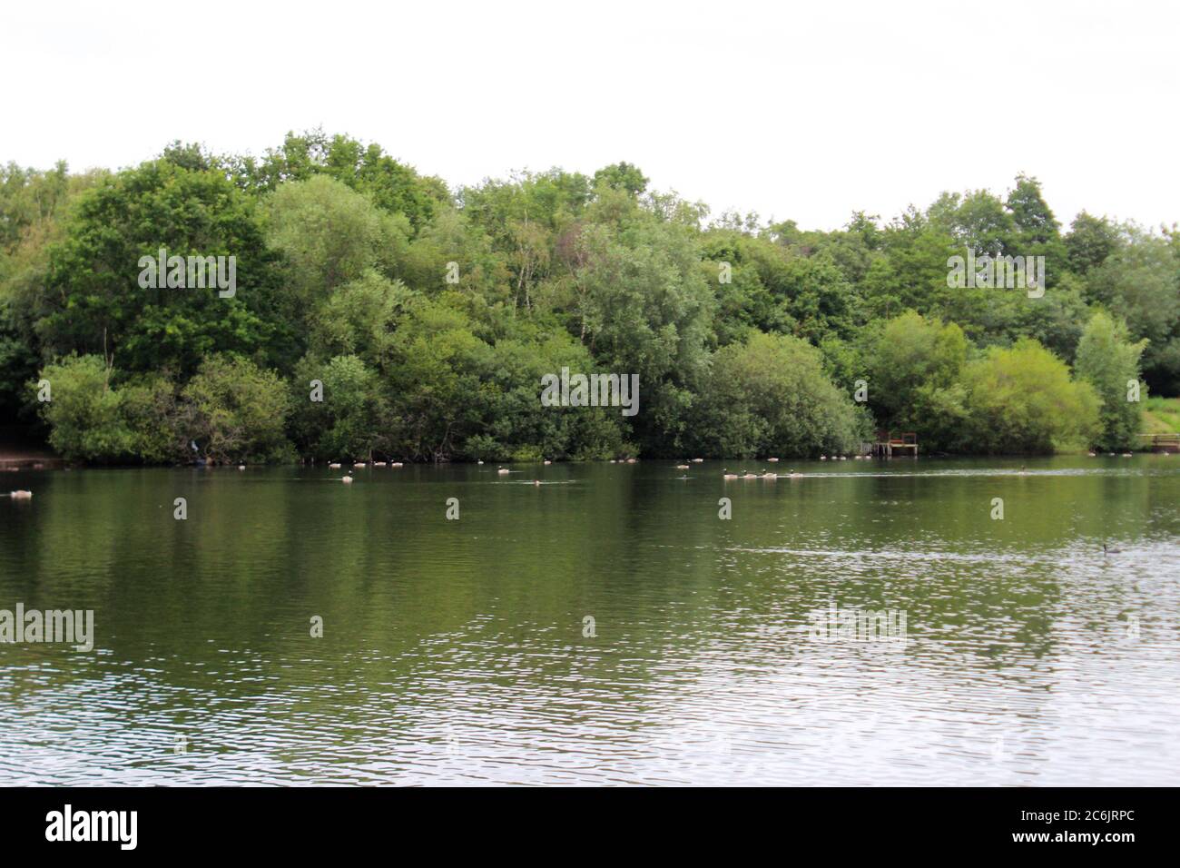 Chorlton water park scenery, inc a lake and trees, on a cloudy day in Manchester, England Stock Photo