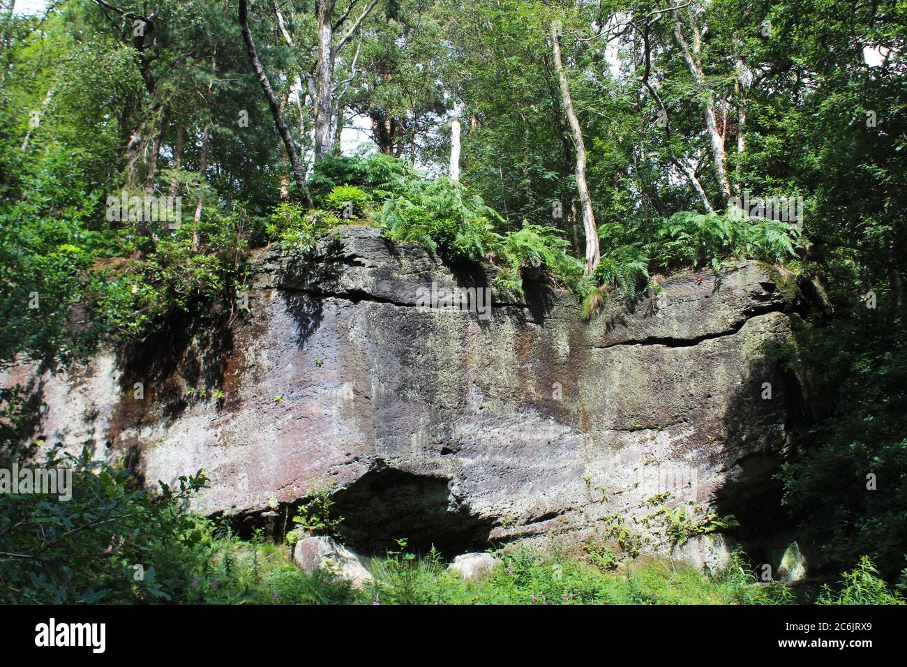 Overhanging, overgrown cliff rockface at Alderley edge in Cheshire, England Stock Photo
