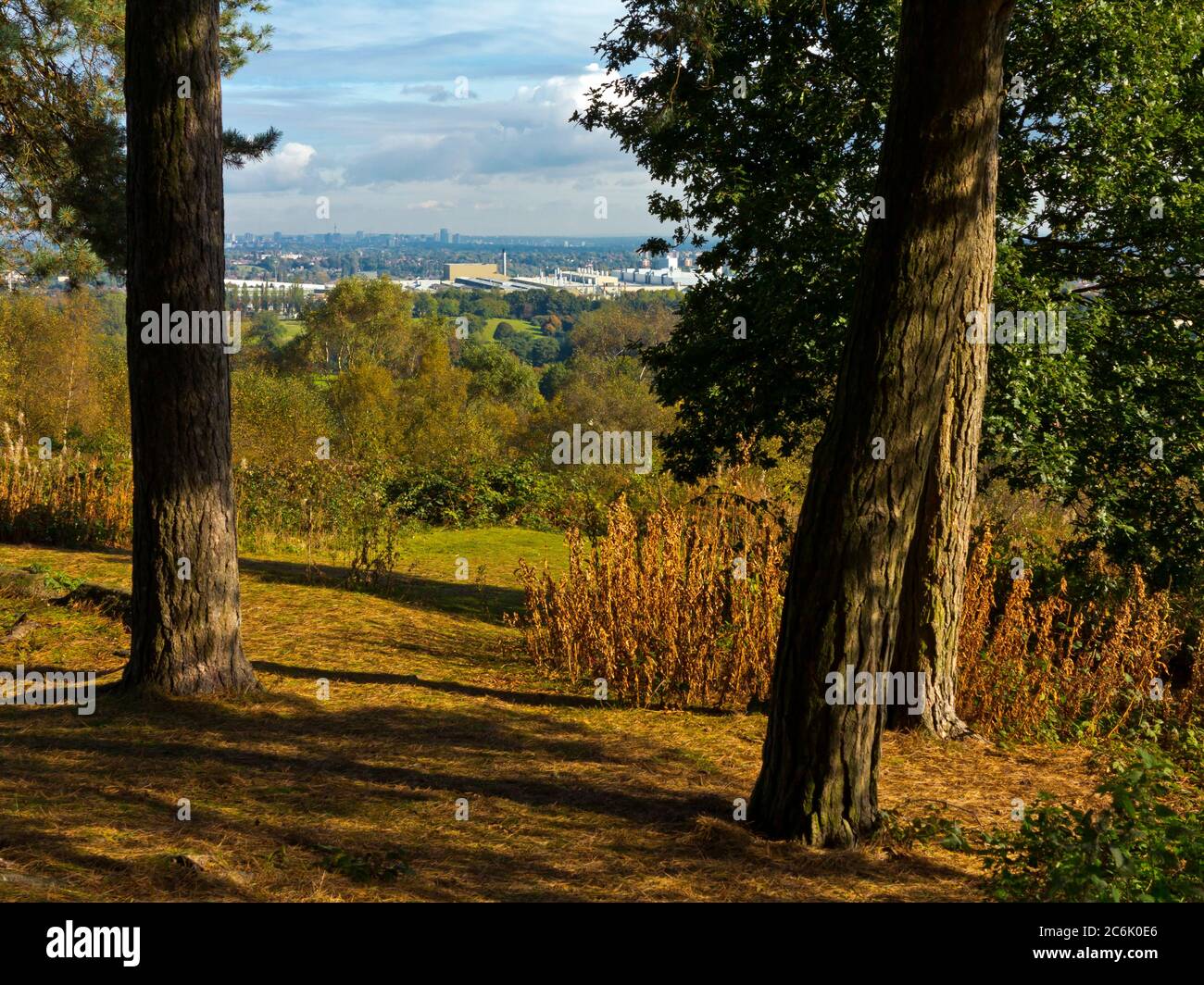 View through woodland at Lickey Hills Country Park which lies ten miles south west of the city of Birmingham in the West Midlands England UK Stock Photo