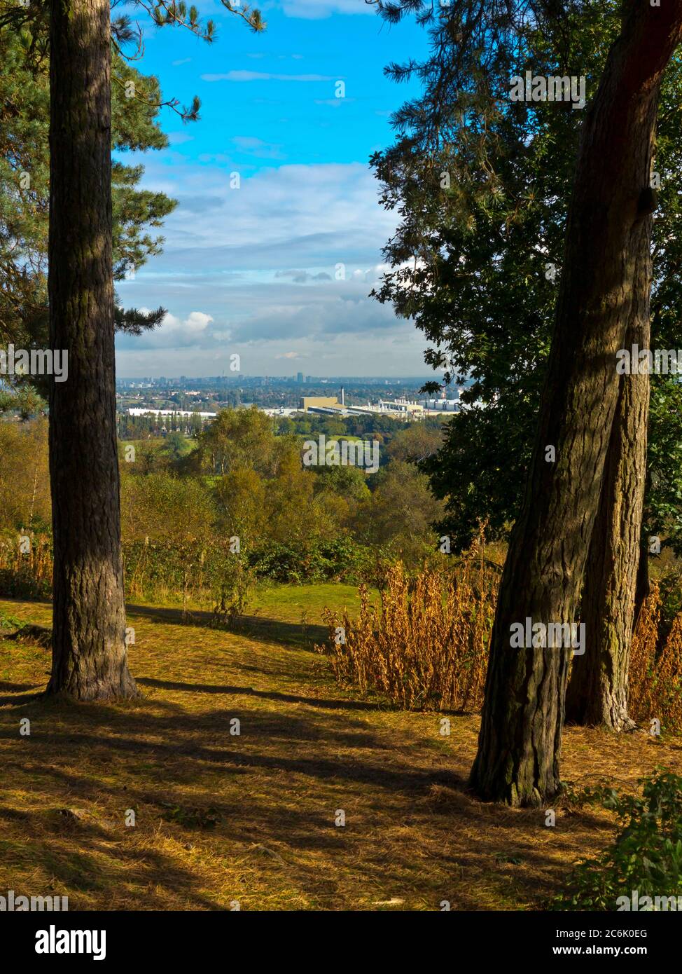 View through woodland at Lickey Hills Country Park which lies ten miles south west of the city of Birmingham in the West Midlands England UK Stock Photo
