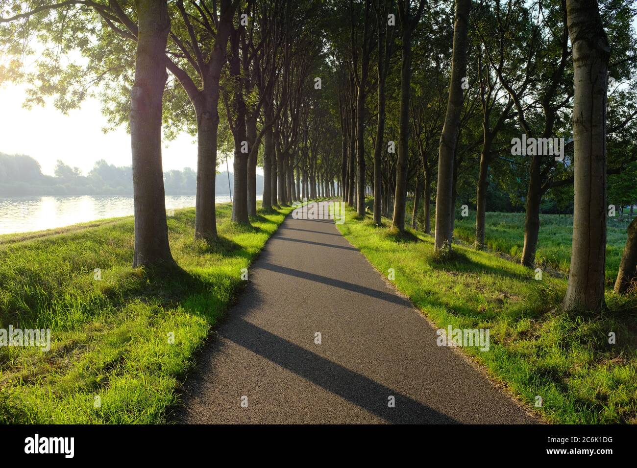 A quiet cycle path between an avenue of trees in the early sunlight near Diemen Stock Photo