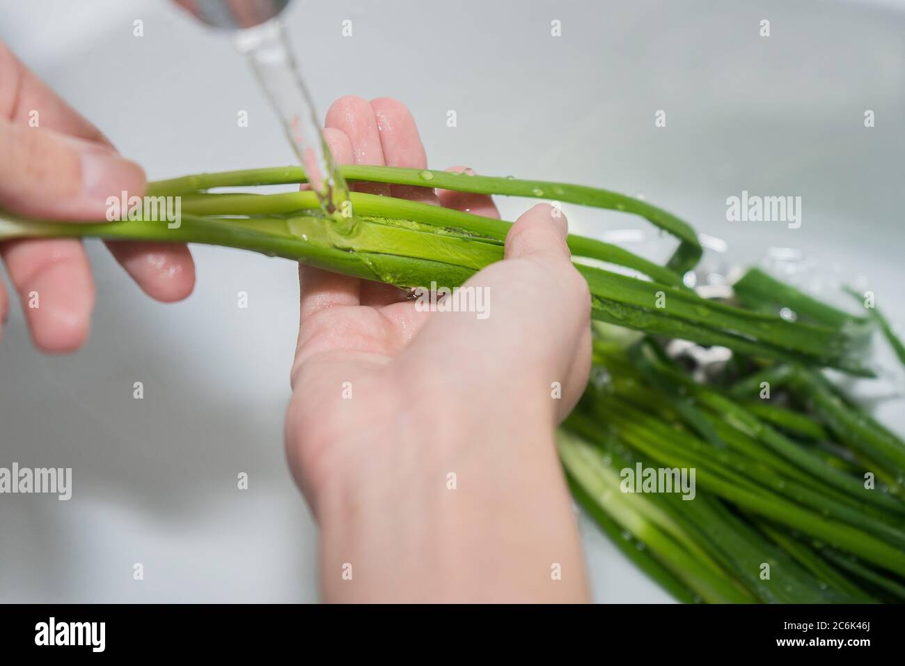 hands and green onions under running water. Washing greens. Girl washes