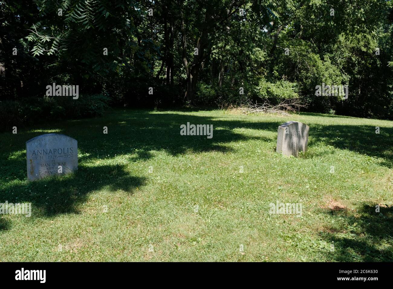 Racehorse Cemetery at Montpelier, where horses owned by Marion duPont Scott are buried Stock Photo