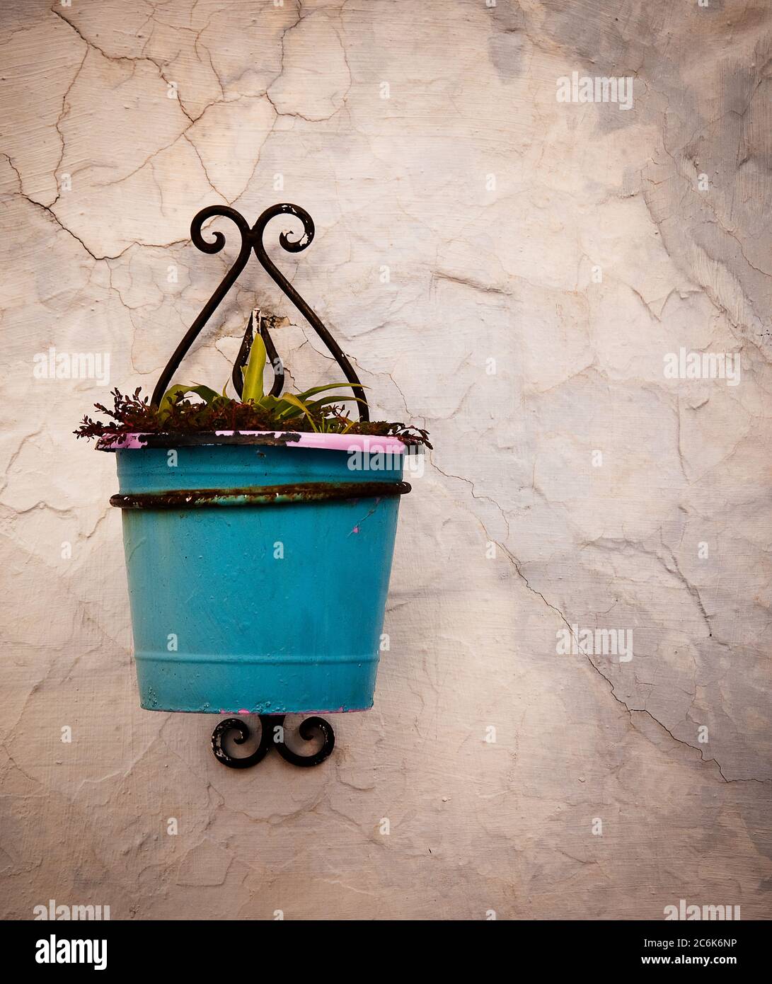 Wall mounted planter, Chefchaouen, Atlas mountains, Morocco Stock Photo