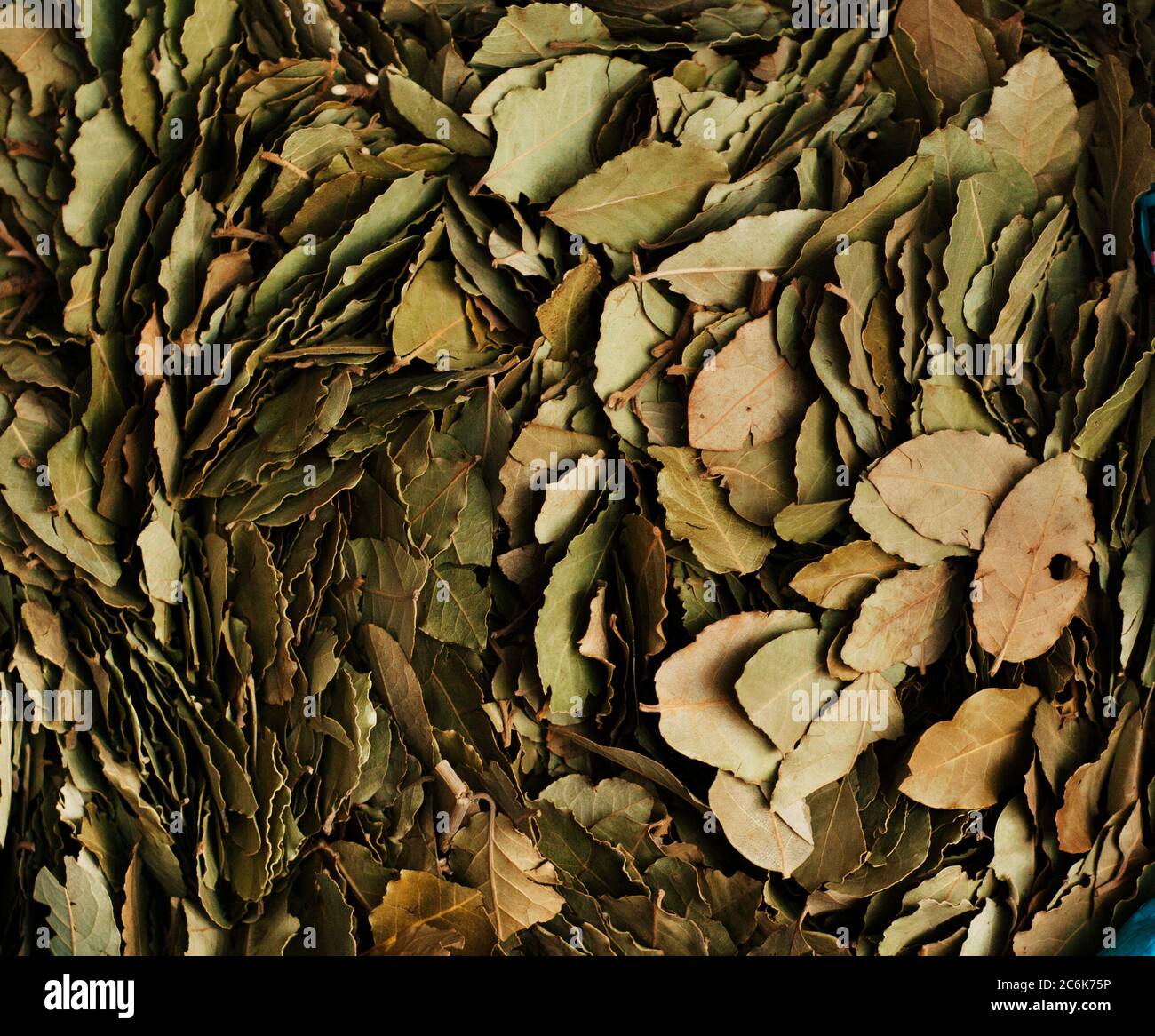 Chefchaouen morocco food hires stock photography and images Alamy