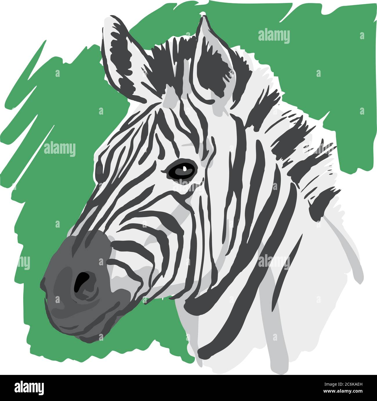 Zebra vector illustration, scalable size vector graphic Stock Vector ...