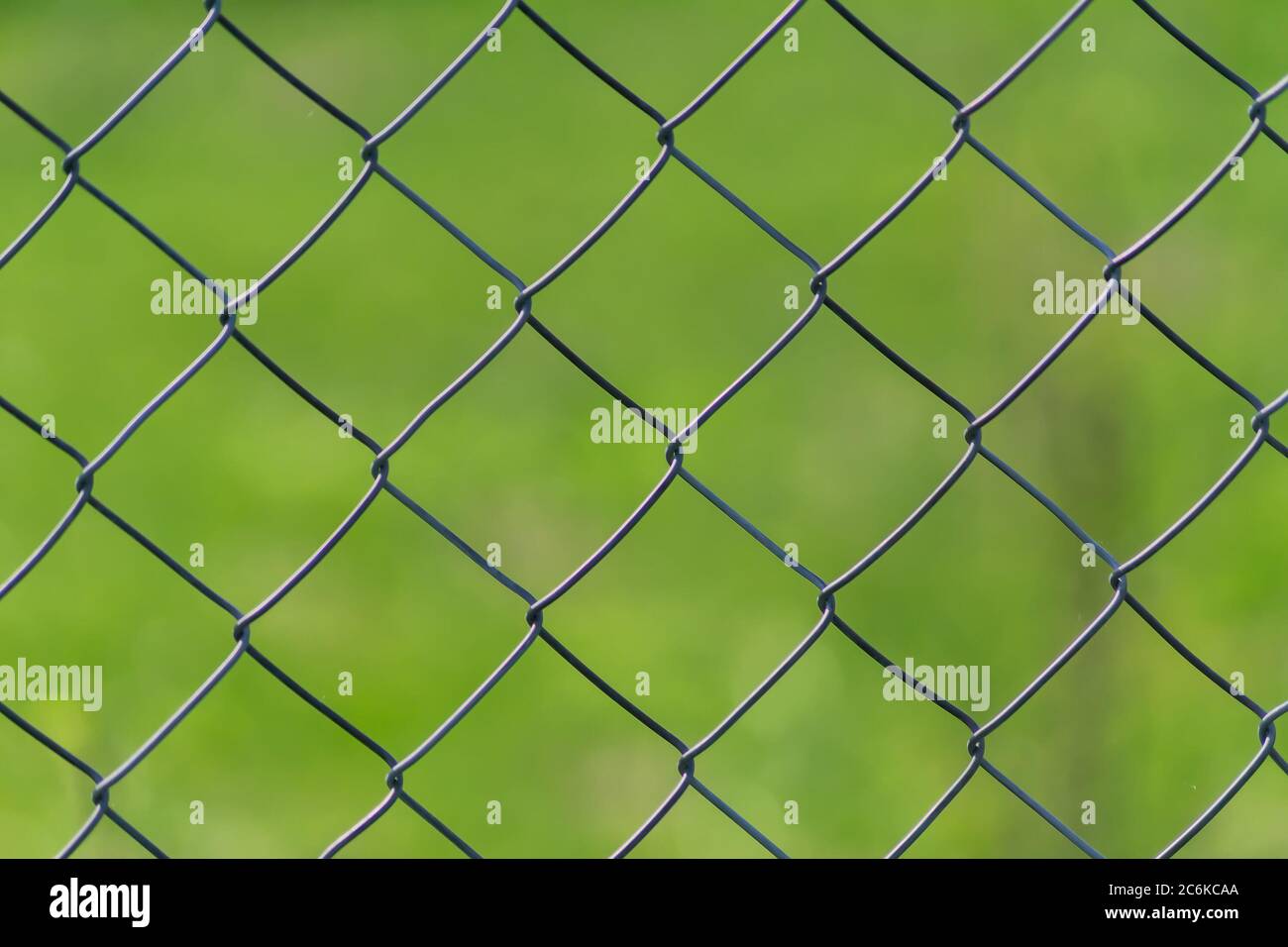 Metal chain-link fence on a green grass background Stock Photo - Alamy
