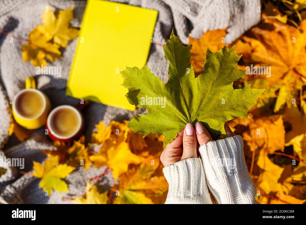 Girl holding maple leaf in autumn park Stock Photo - Alamy