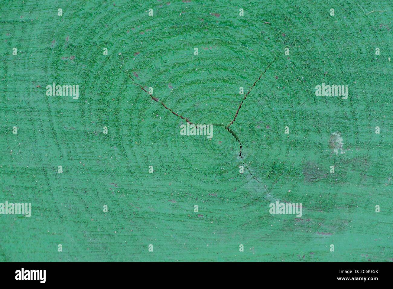 green painted tree trunk background texture Stock Photo