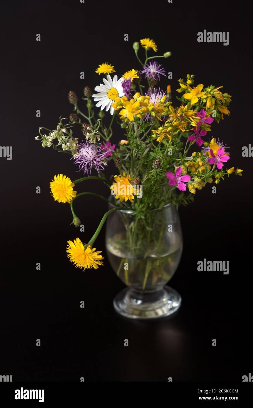 colorful bouquet of wild grasses and flowers in a small vase on a black background Stock Photo