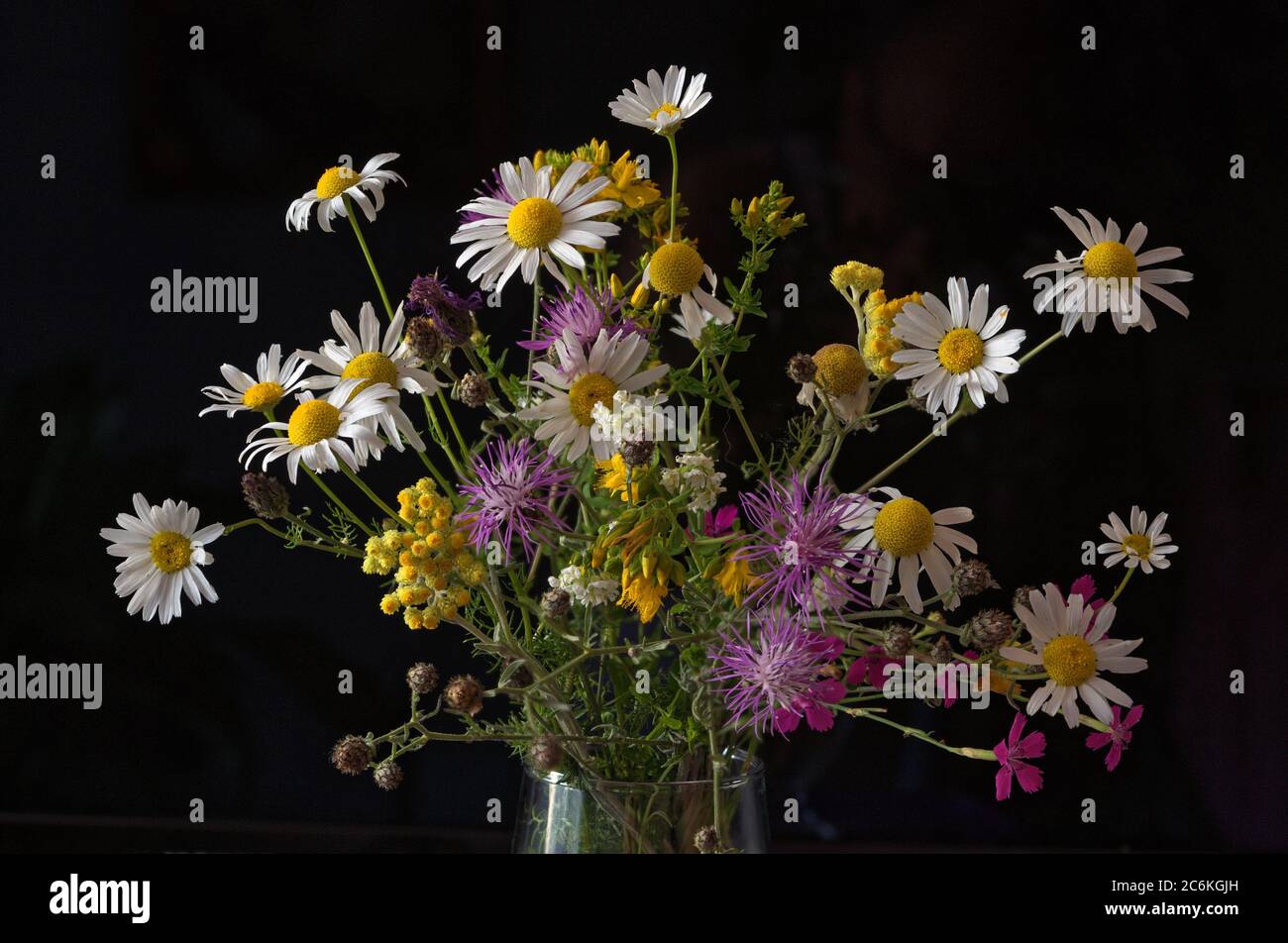 colorful bouquet of wild grasses and flowers in a small vase on a black background Stock Photo