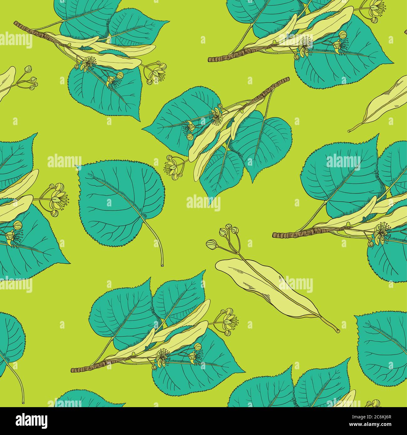 Seamless pattern with linden flowers and leaves. Vector background. Stock Vector