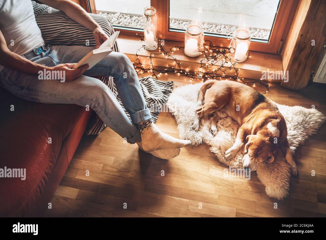 Man reading book on the cozy couch near slipping his beagle dog on sheepskin in cozy home atmosphere. Peaceful moments of cozy home concept image. Stock Photo