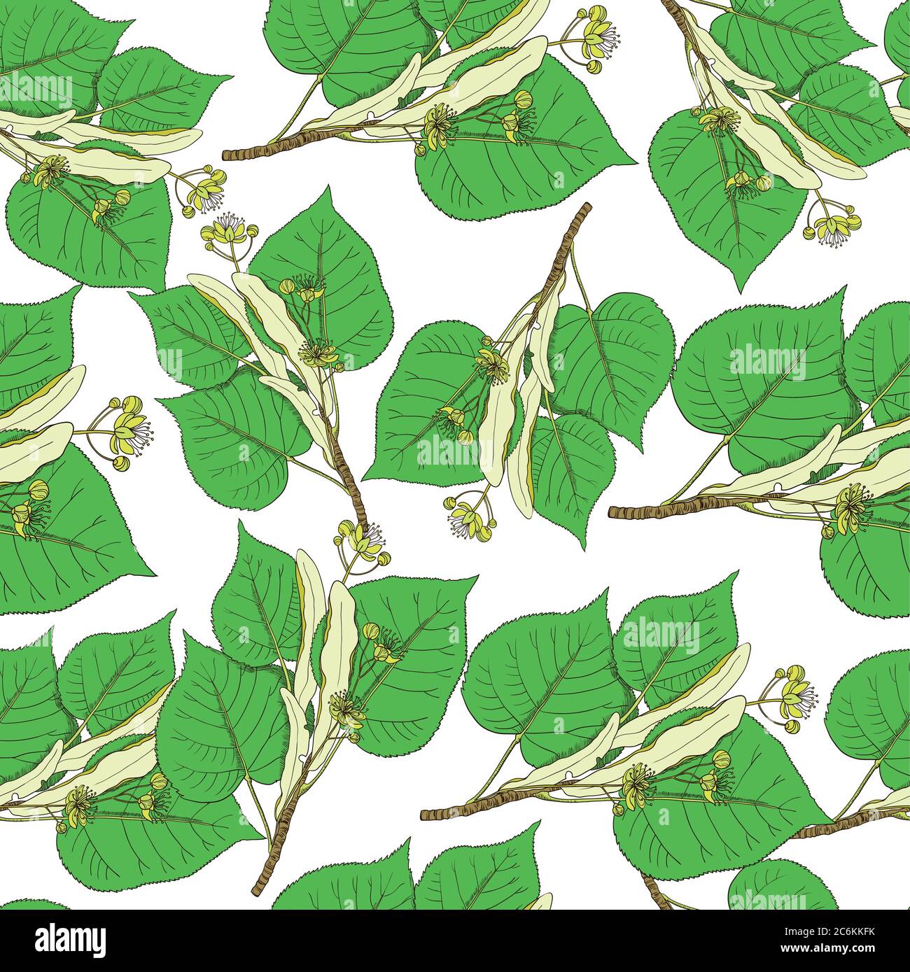 Seamless pattern with linden flowers and leaves. Vector background. Stock Vector