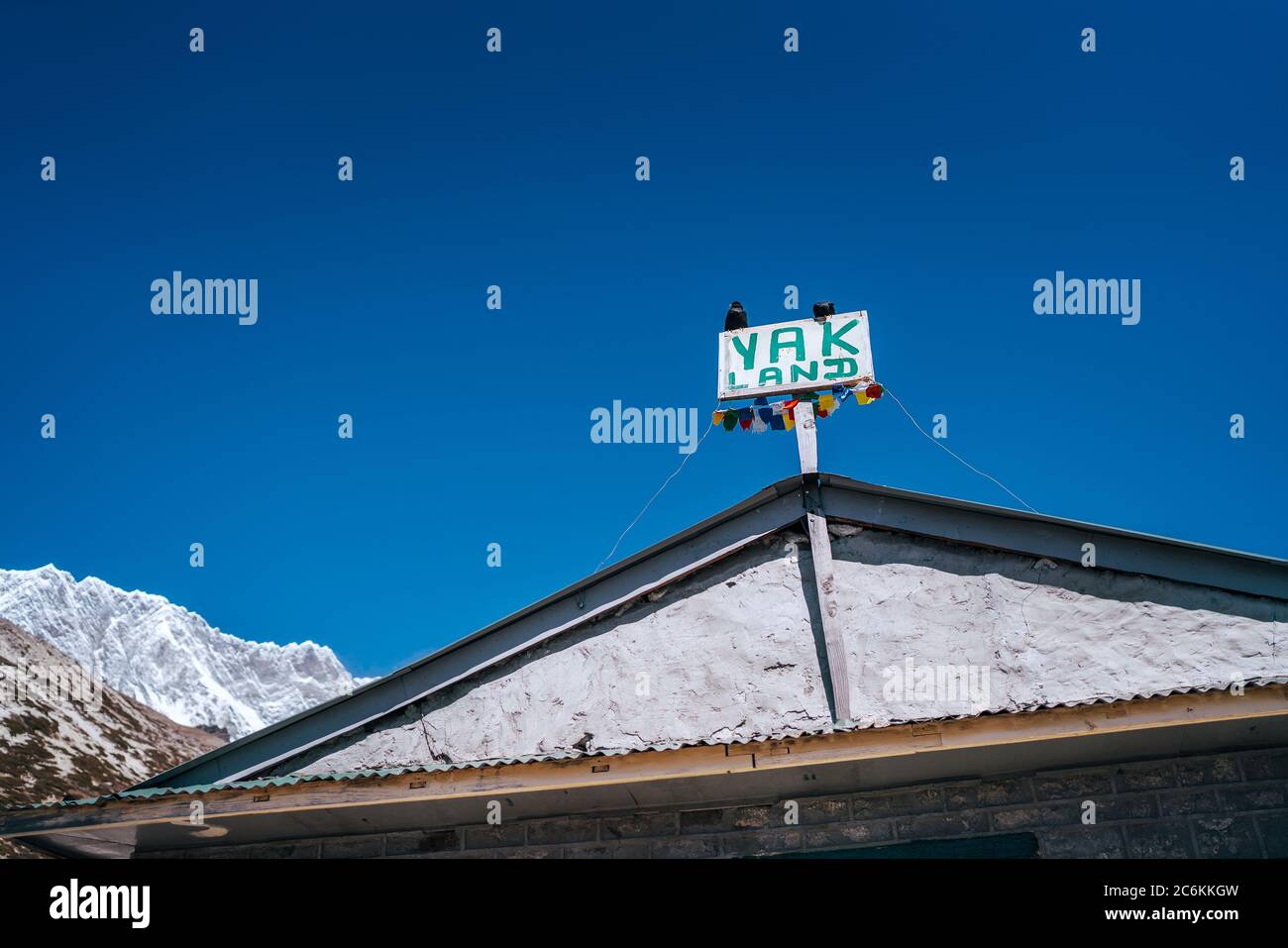 Crows sitting  on the 'YAK Land' sign on the lodge house with Lhotse Ridge background at Chukhung lodge village  4730 meters (15,518 ft), Khumbu Valley Stock Photo