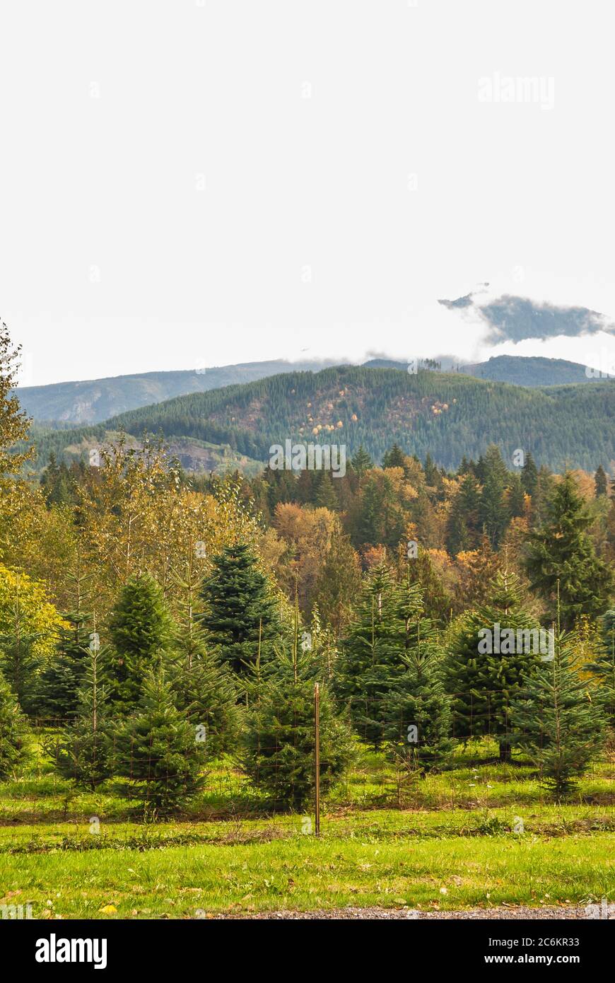 Mount pilchuck hires stock photography and images Alamy