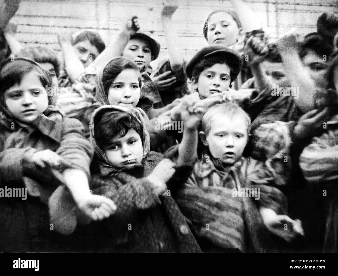 1945 , january, AUSCHWITZ , POLAND : The Nazi German Concentration Camp, children survived at Olocaust the day of liberation by russian Soviet Red Army , show the serial numbers tattooed on the right arm . Photo taken by an unknown military photographer at service of  Russian troops. -  Konzentrationslager Auschwitz - Second World War - Shoà - OLOCAUSTO - EBREI - Campi di concentramento di sterminio ebraico - WWII - WORLD WAR 2nd - SECONDA GUERRA MONDIALE - WW2nd - WW2 - foto storiche - foto storica  - GERMANIA - POLONIA - HISTORY - FOTO STORICHE - NAZIST - NAZISTA - NAZISTI - NAZISMO - NAZISM Stock Photo