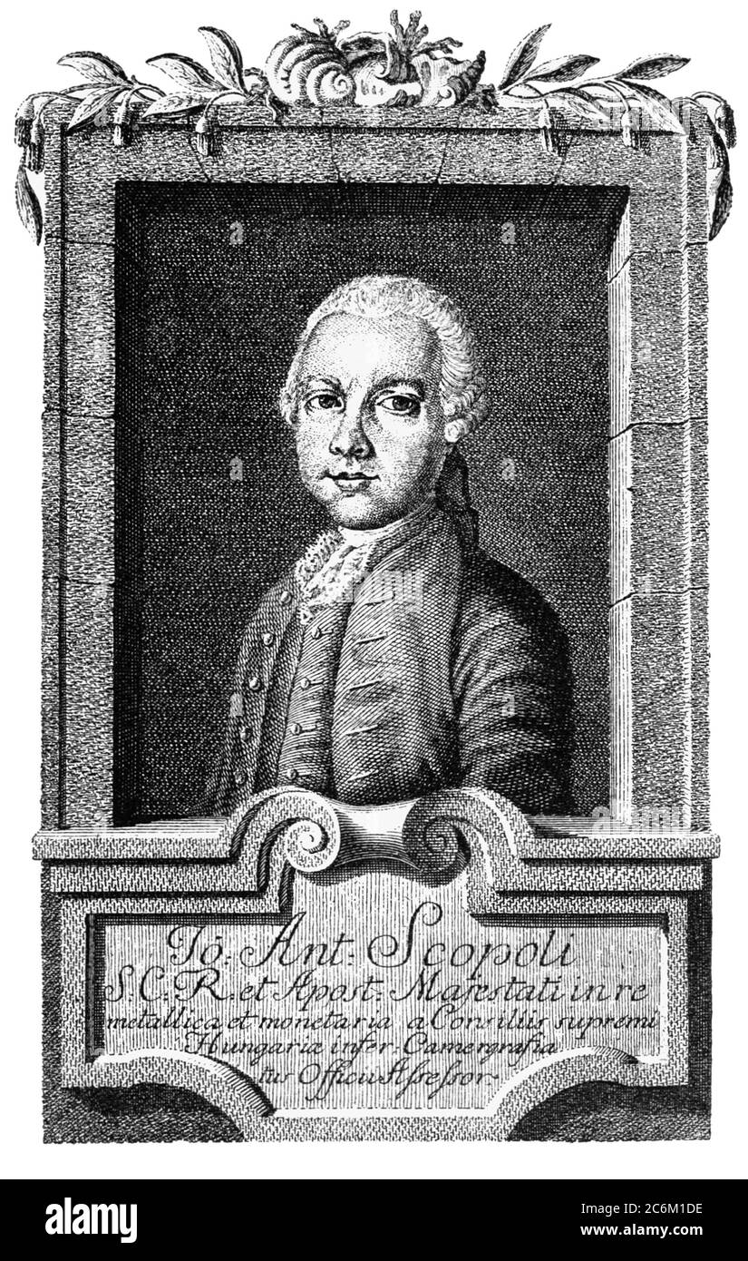 1770 ca , ITALY : Portrait of scientist and naturalist GIOVANNI ANTONIO SCOPOLI ( 1723 - 1788 ). Engraved portrait by Jan Kleinhardt ( 1742 - 1794 ) . - Joannes Antonius Scopoli - foto storiche - HISTORY - scienziato - scientist - portrait - ritratto - ITALIA - wig - parrucca - DOTTORE - MEDICO - MEDICINA - medicine - NATURALISTA - NATURALISMO  ---  Archivio GBB Stock Photo