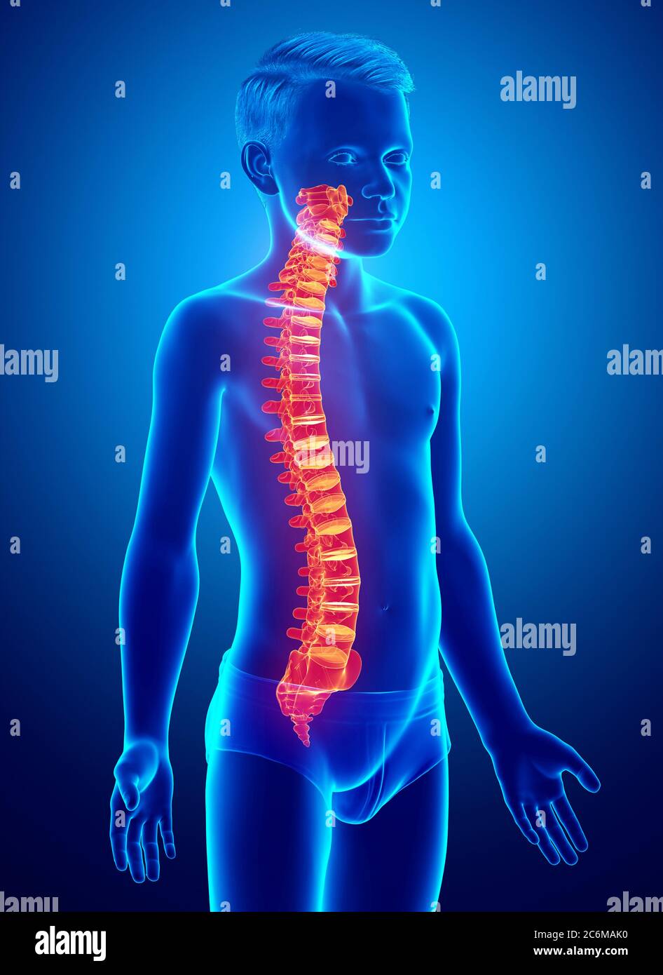 3d rendered medically accurate illustration of a high lighted spine ...