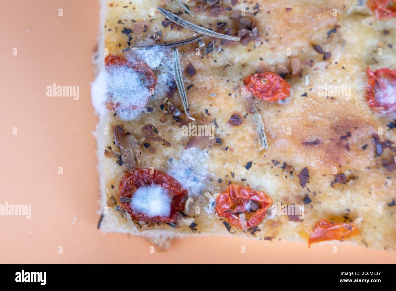 Close-up of mold develop on expired focaccia bread in container Stock Photo