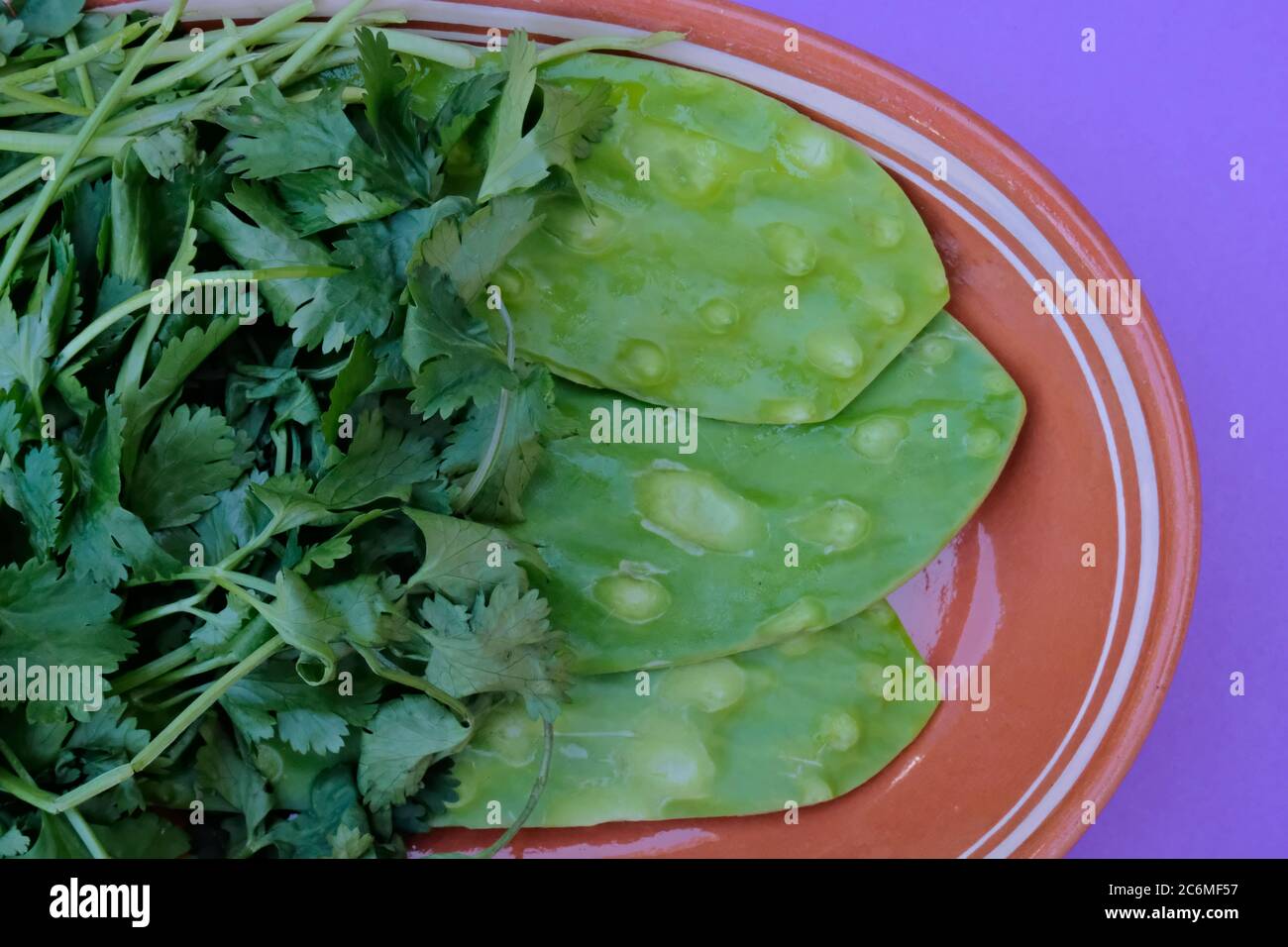 Fresh Nopal (Mexican edible Cactus), pads clean without spines on a traditional clay plate Stock Photo