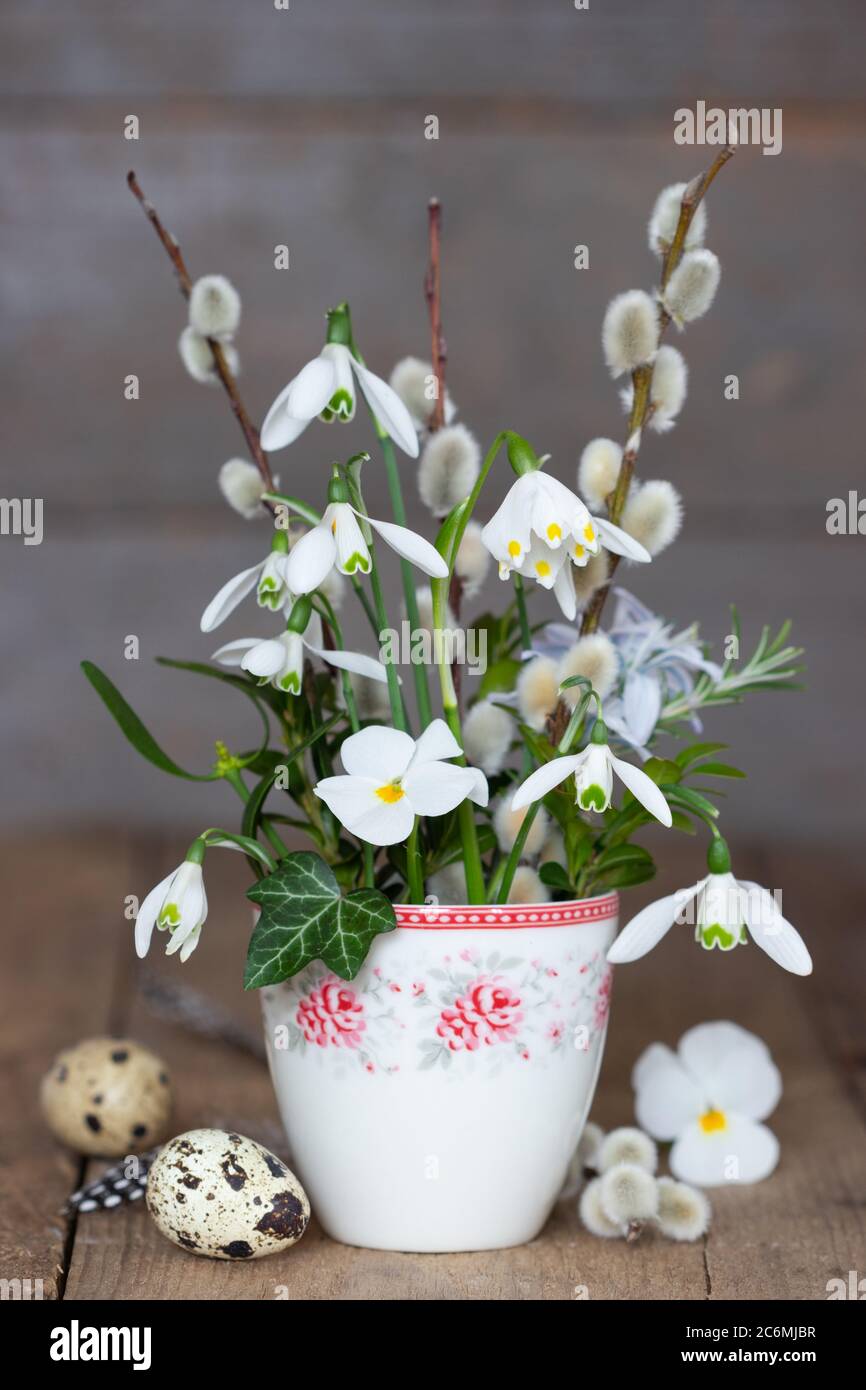 bouquet of snow drops and willow catkins in cup Stock Photo