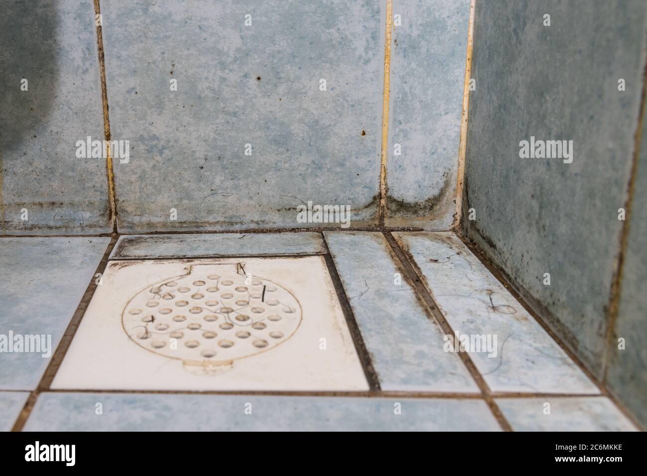 Mildew, dirty unhygienic mold growing on bathroom wall tile surface Stock Photo