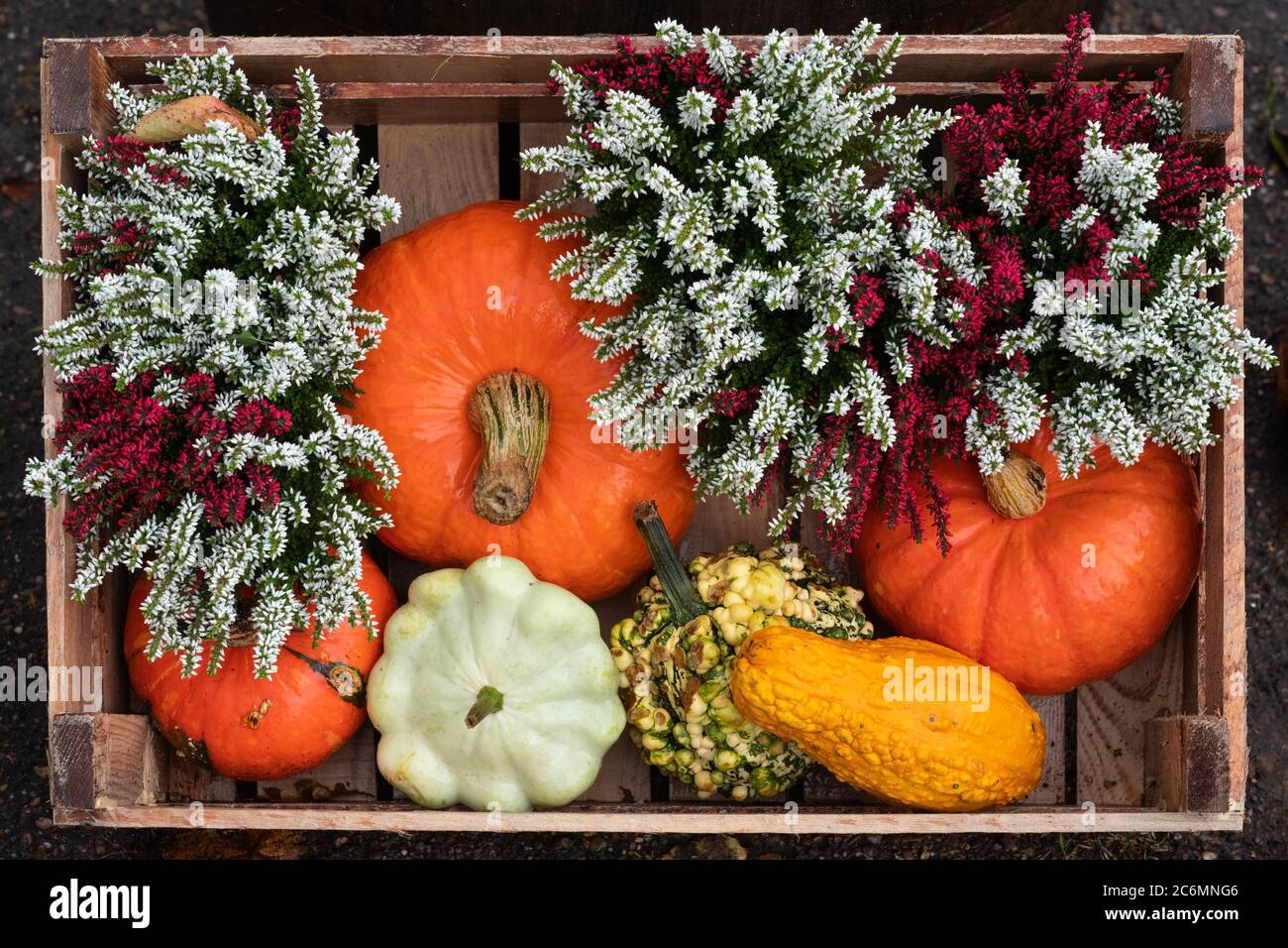 Yellow and orange pumpkins hi-res stock photography and images - Alamy