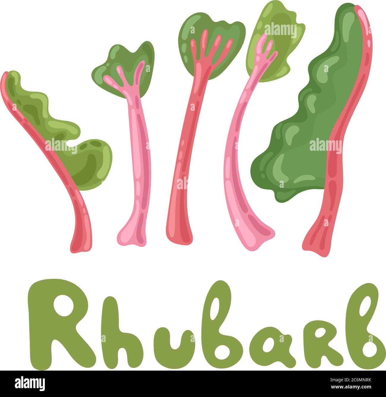 Rhubarb stock clipart. Vegetable colorful icon. Whole rhubarb vector illustration, cartoon flat icon isolated on white. Rhubarb leaves, edible plant Stock Vector