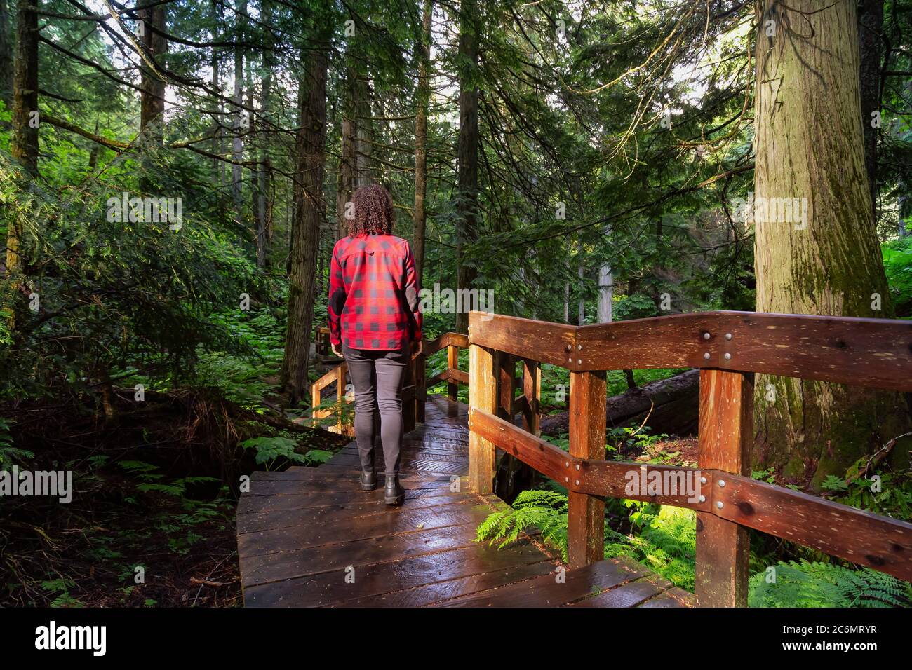 Girl Hiking in Rain Forest Stock Photo - Alamy