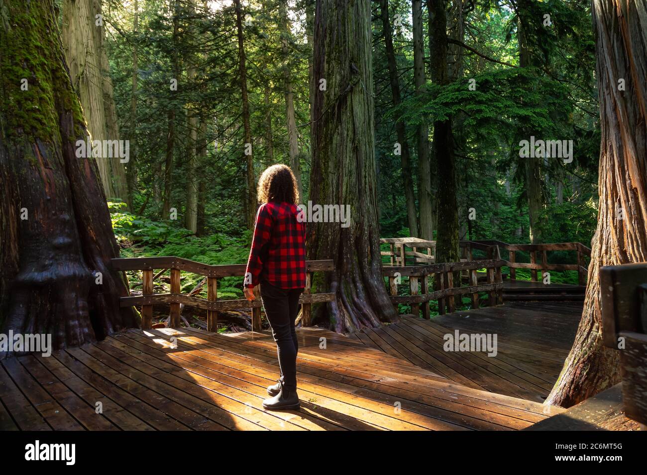 Girl Hiking in Rain Forest Stock Photo - Alamy