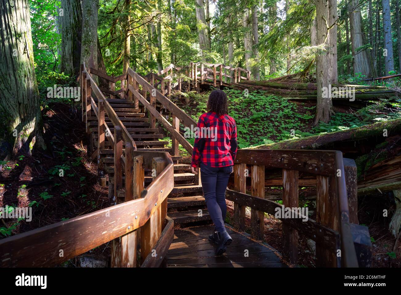 Girl Hiking in Rain Forest Stock Photo - Alamy