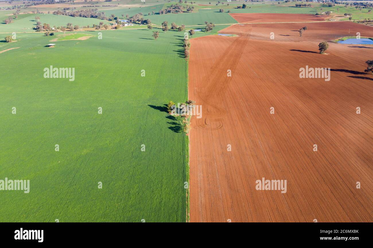 Aerial view of cultivated farmland near Cowra in the New South Wales Central West. This land can be very productive when there has been sufficient rai Stock Photo