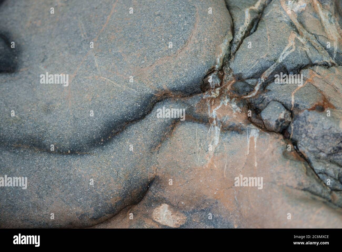 A rolling stone gathers no moss Stock Photo