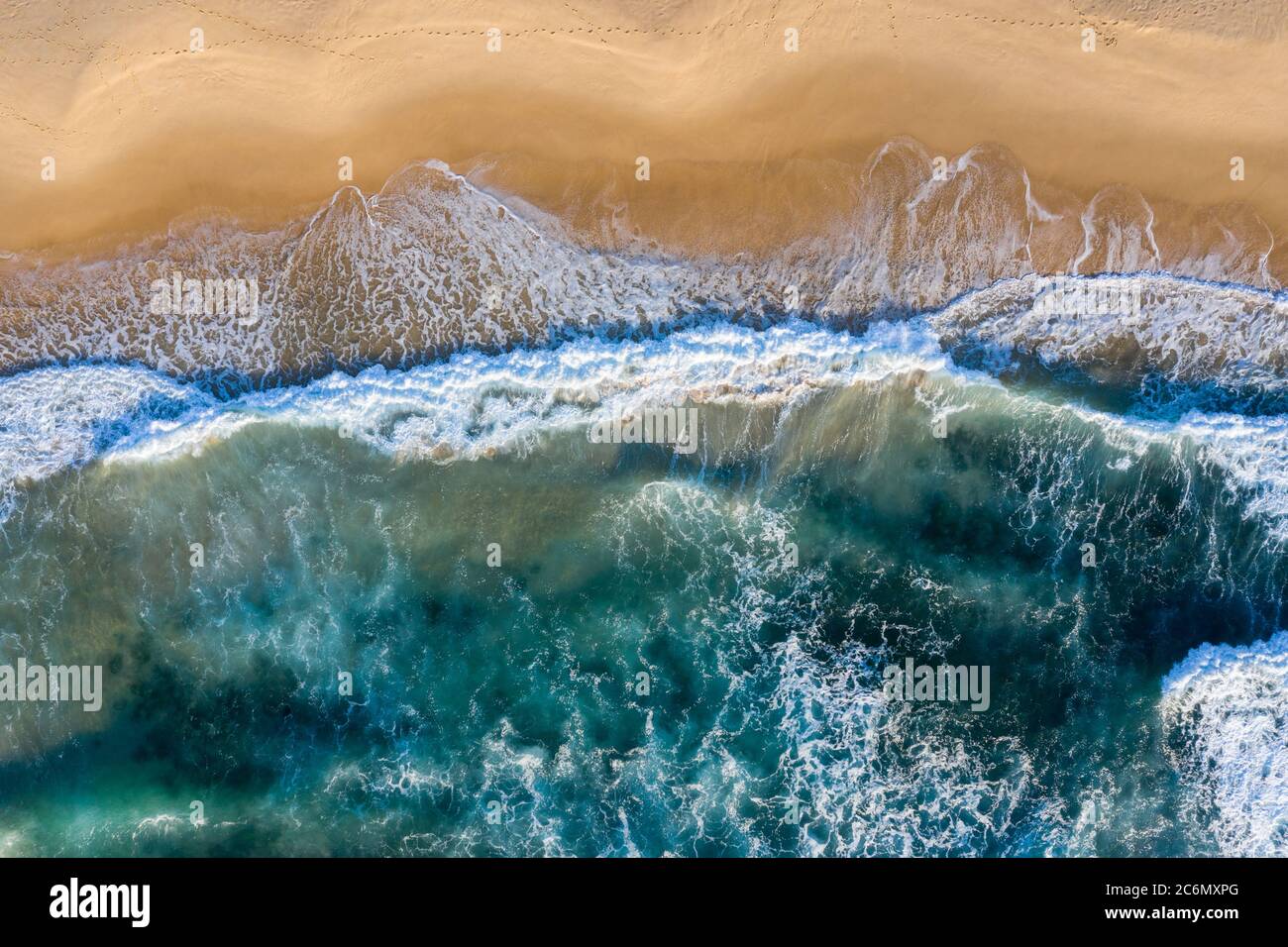 Top down aerial view of Nobby Beach in Newcastle NSW Australia. Stock Photo