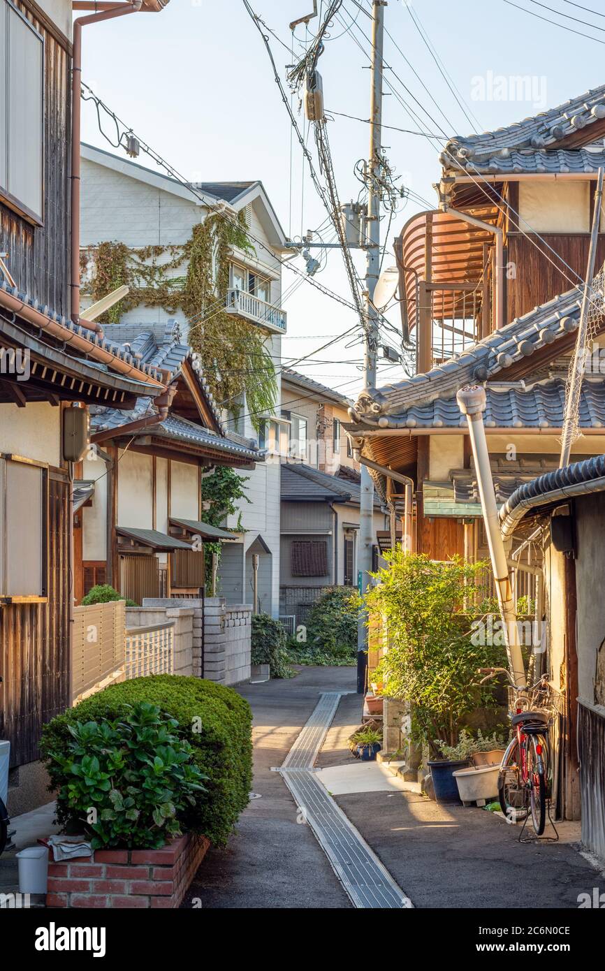 古伊万里　極上手のぞき20客　木箱付　東H5-0708①トコト 極錦金彩古伊万里様式【八角盛皿・小】 木箱入 — 賞美堂本店