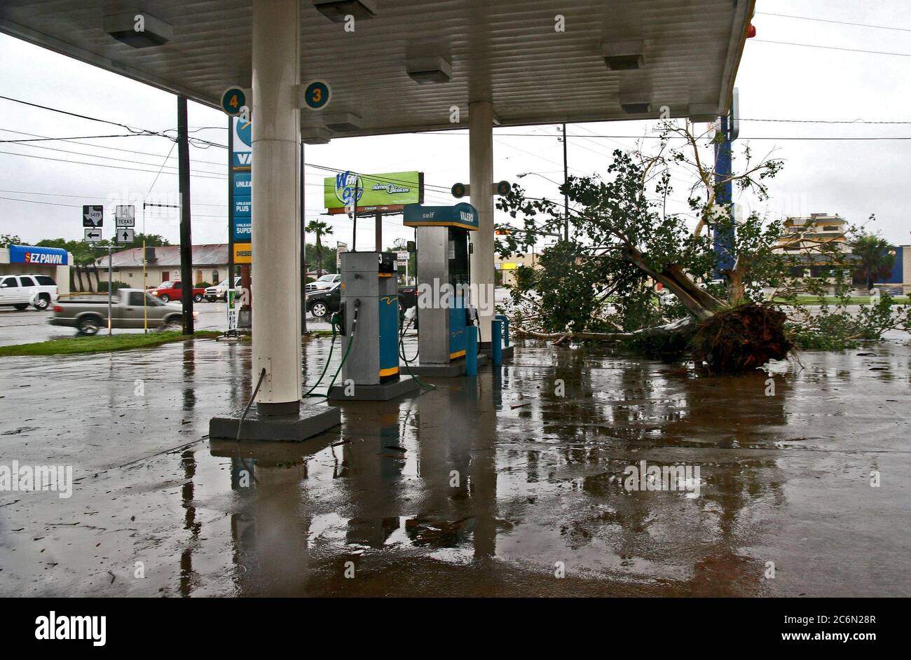 Brownsville, TX, July 23, 2008 MAssive downed tree ends up thrown by