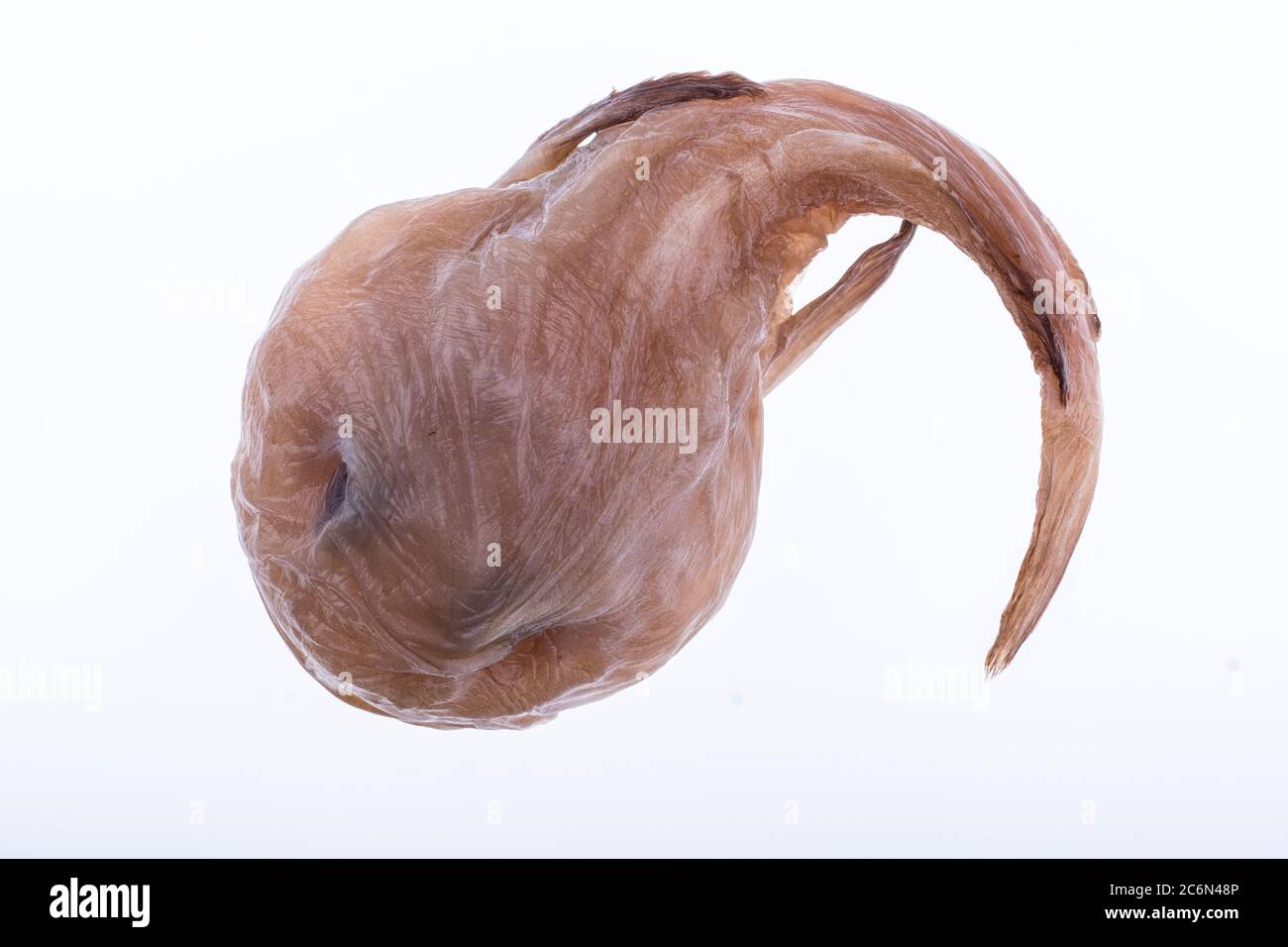 Ieo High Resolution Stock Photography and Images - Alamy