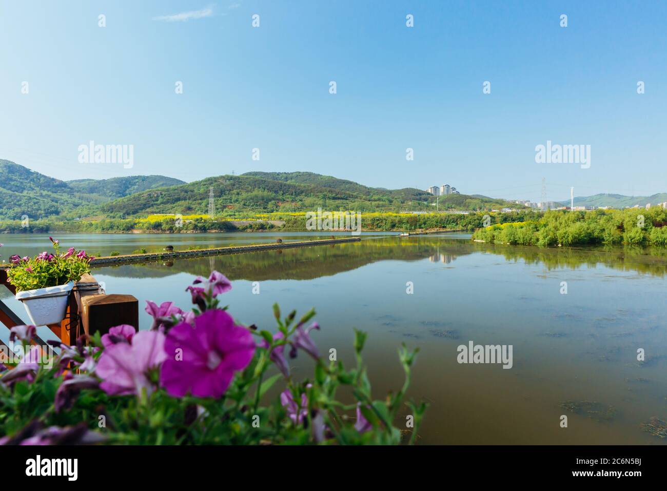 Summer outdoor in Xishan Lake, Dalian, China Stock Photo