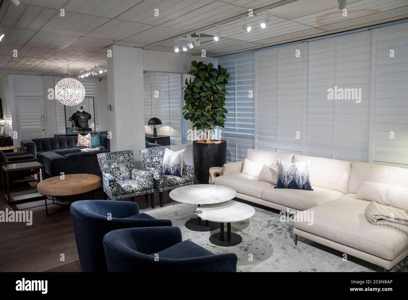 Coco republic furniture store in St Leonards Sydney interior with