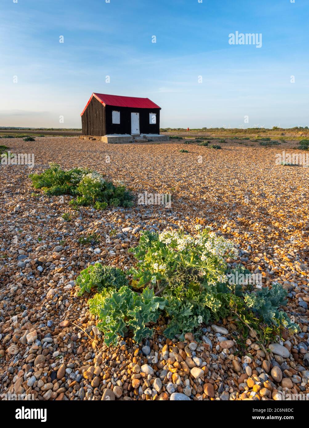The red shed on the shingle beach at Rye Harbour, East Sussex. Stock Photo