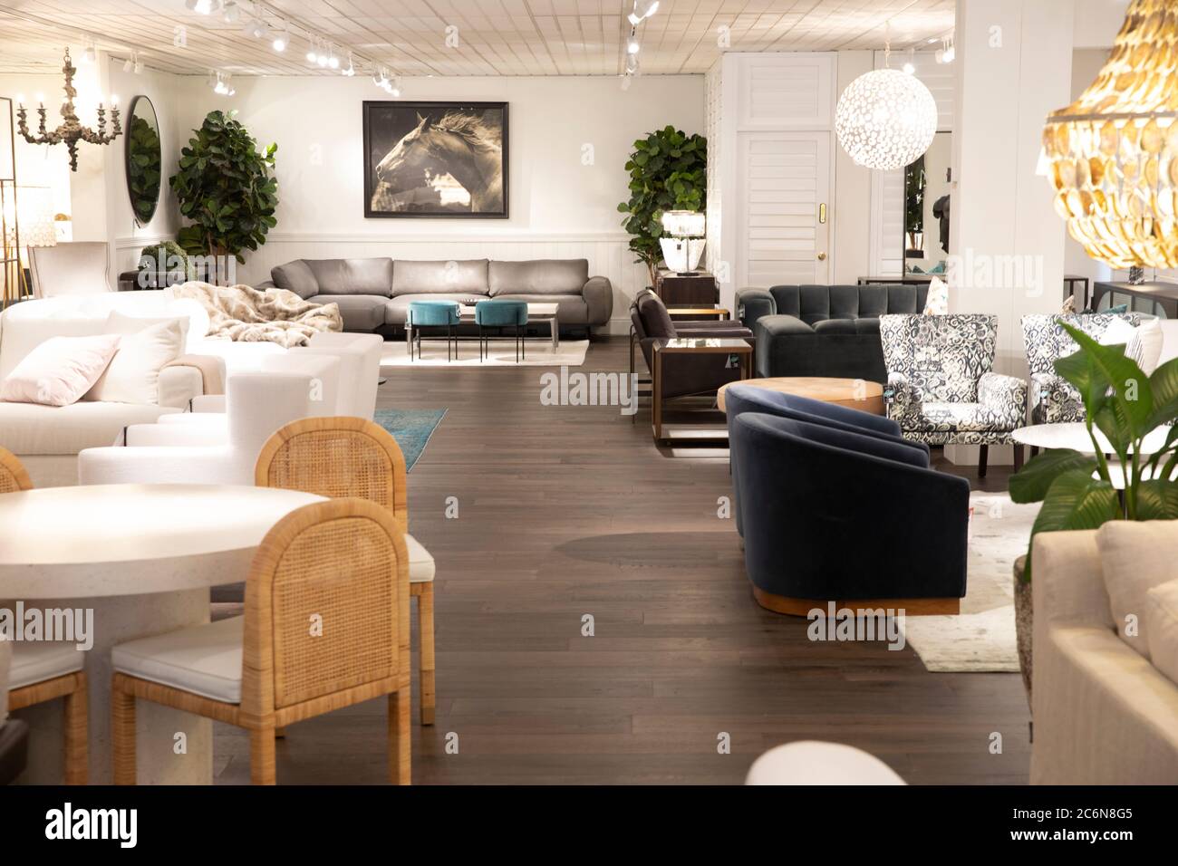 Coco republic furniture store in St Leonards Sydney interior with